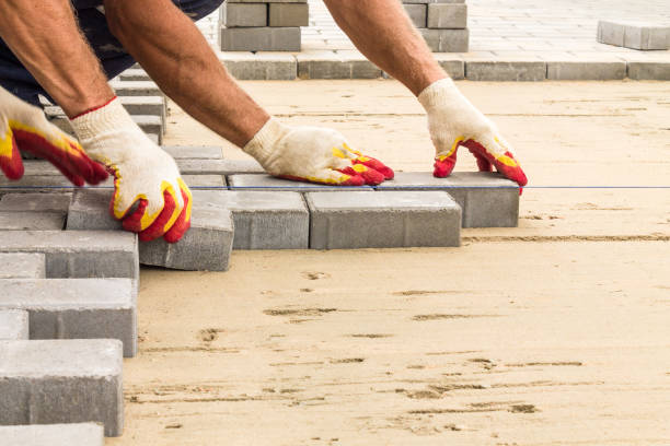 Best Affordable Driveway Paving  in Travis Ranch, TX