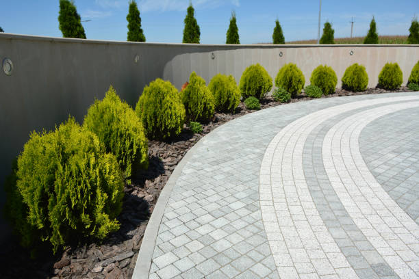 Best Concrete Paver Driveway  in Travis Ranch, TX